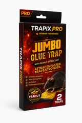 TRAPIX JUMBO PRO NO ESCAPE GLUE TRAP 2 WITH PEANUT FAST ATTR Default Title - MamasJan New Arrivals