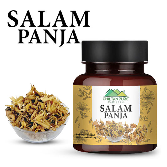 Salam Panja – Natural Herbal Root for Strength & Vitality