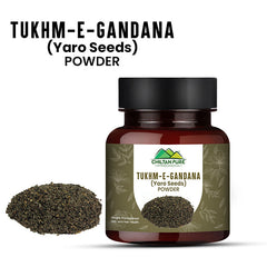 Tukhm-e-Gandana / Yaro seeds [تخم گندنا پاؤڈر ] 100% Pure Organic