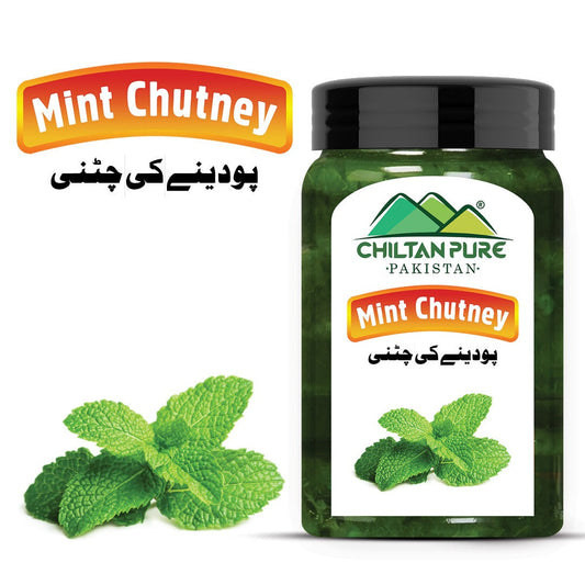 Mint Chutney - Freshness in Every Spoonful