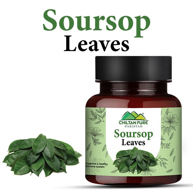 Soursop Leaves / سورزپ لیوز