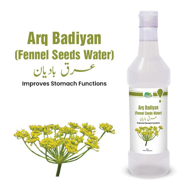 Fennel Seeds Water / عرق بادیان / Arq Badiyan