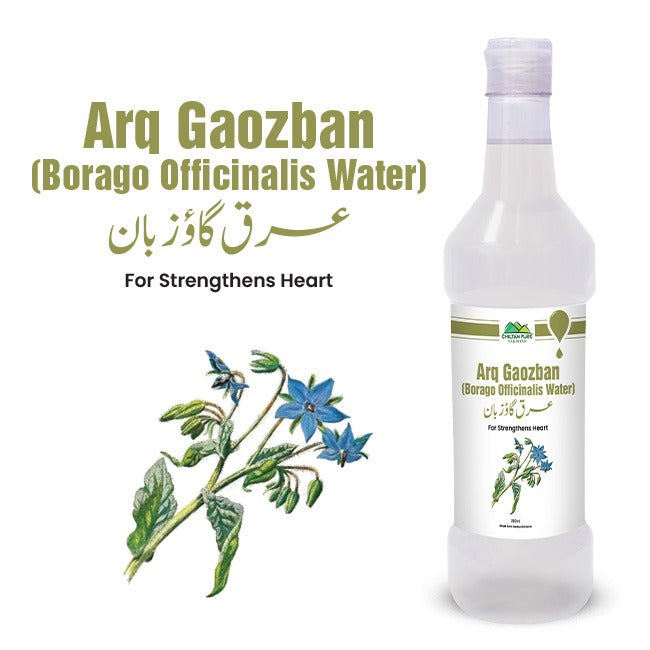 Borago Officinalis Water / عرق گاؤ زبان / Arq Goazban