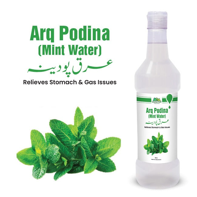 Mint Water / عرق پودینہ / Arq Podina