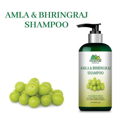 Amla & Bhringraj Shampoo / آملہ اور بھِرنگراج شیمپو / Amla aur Bhringraj Shampoo / 260ml