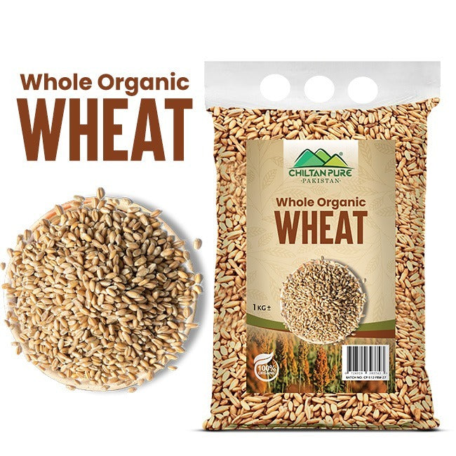 Whole Organic Wheat / گندم / Gross Weight 1kg