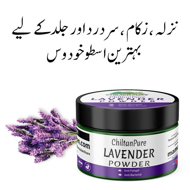 French Lavender Powder / Ustekhadoos / اسطوخودوس