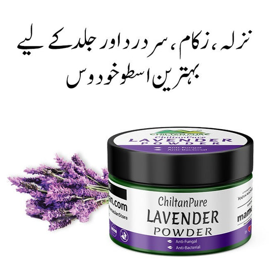 French Lavender Powder / Ustekhadoos / اسطوخودوس