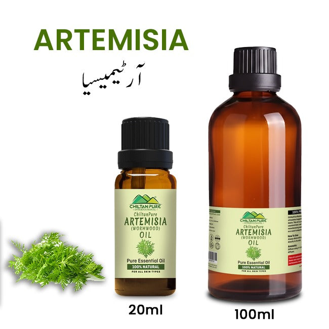 Artemisia Essential oil – Wormwood Essential Oil – Acts as an Emmenagogue, Relieves Nervous Afflictions & Prevents Microbial Infections