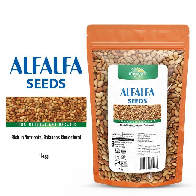Alfalfa / Alfalfa seeds / Lucerne Seeds / Medicago sativa / لوسن (لوسرن)