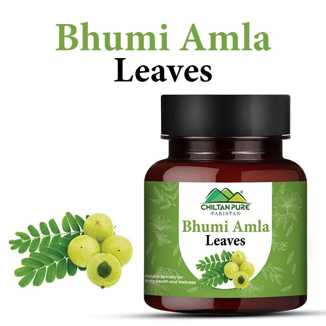 Bhumi Amla Leaves / بھومی آملہ لیوز / Gross Weight 100gm - ChiltanPure
