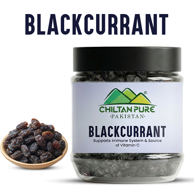 Black Currant – Support Immune System Source of Antioxidants & Vitamin C