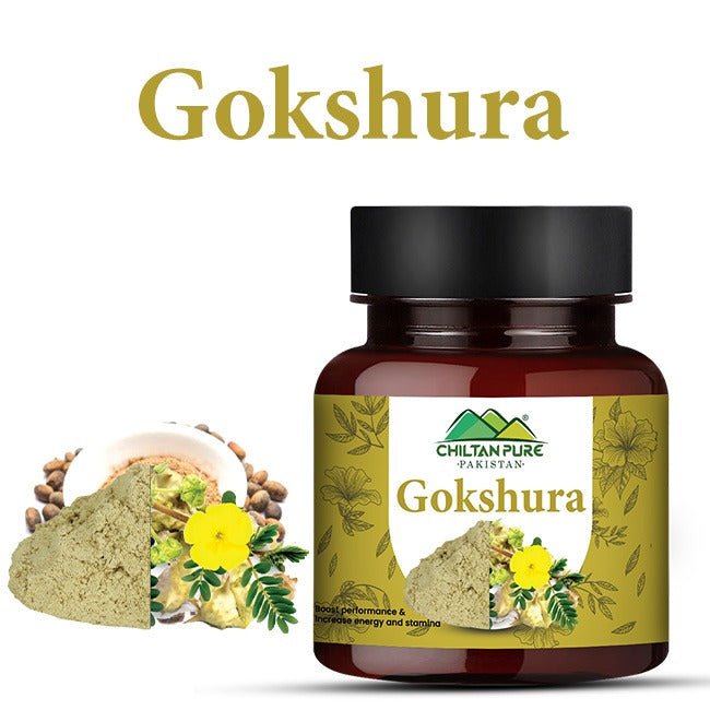 Gokshura / Tribulus terrestris / گوکشورا / Gross Weight 110gm - ChiltanPure