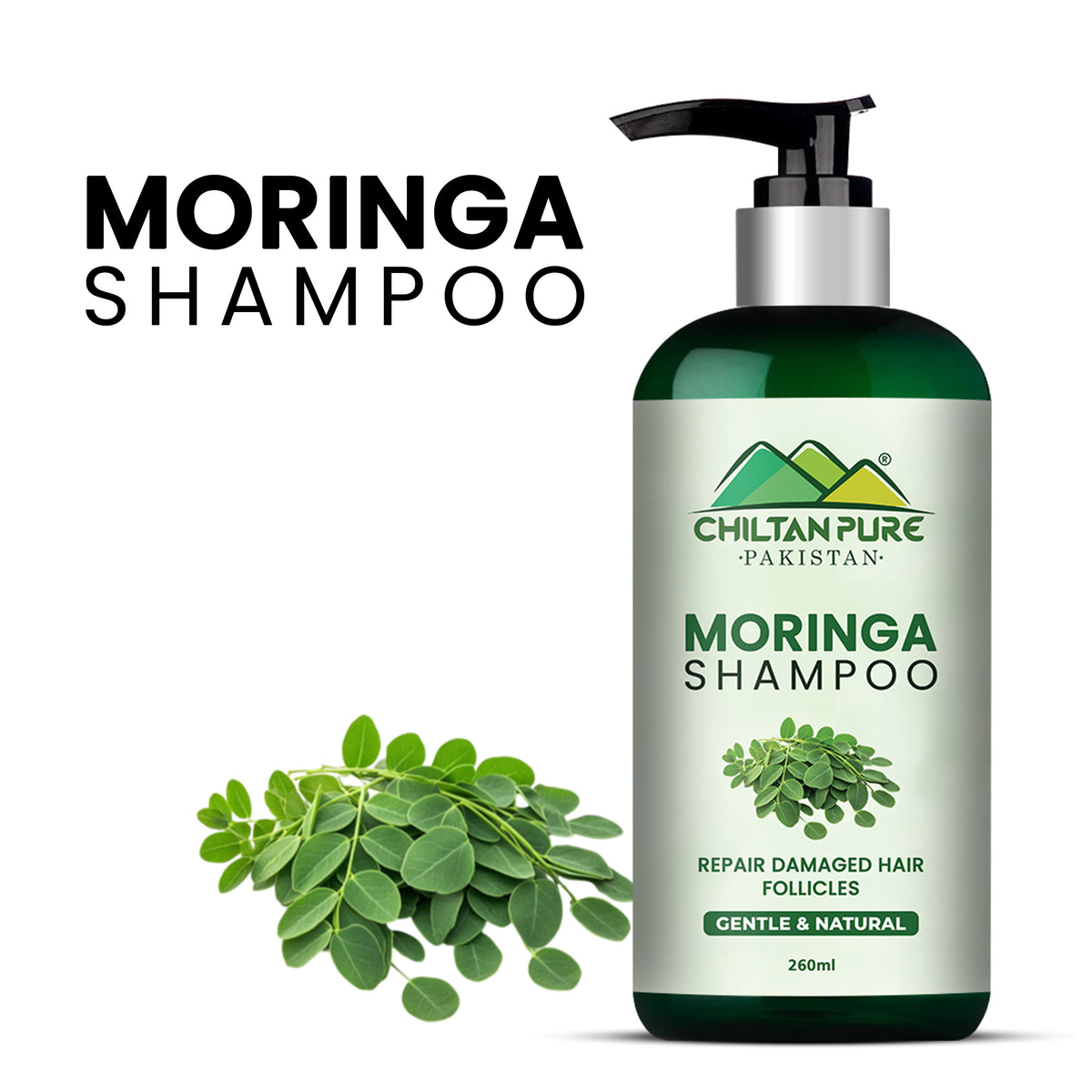 Moringa Shampoo – High Nourishing & Moisturizing Antioxidant Power