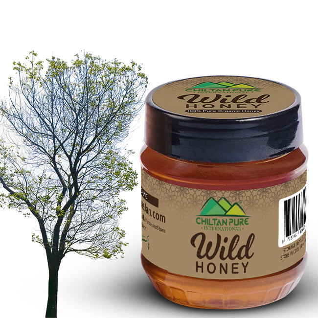 Wild Mountainous Honey - Pure &amp; Delicious (جنگلی شہد)