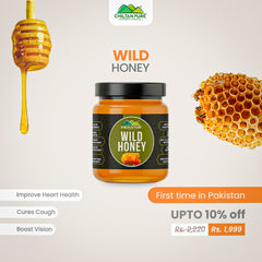 Wild Honey - Pure Honey, Real Sweetness in Every Drop (New Crystal - Clear Glass Packaging)