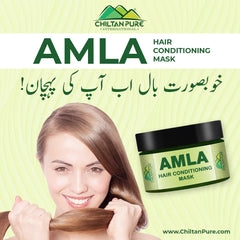 Amla Hair Conditioning Mask - Keep Hair Follicles &amp; Scalp healthy[آملہ] - Mamasjan