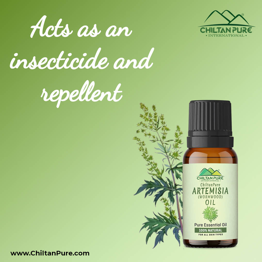Artemisia Essential oil – Wormwood Essential Oil – Acts as an Emmenagogue, Relieves Nervous Afflictions & Prevents Microbial Infections - Mamasjan