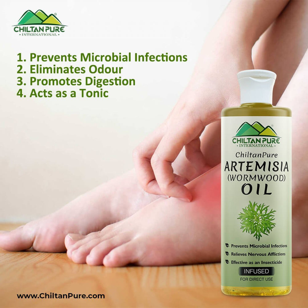 Artemisia Infused oil – Wormwood Infused oil – Promotes Digestion, Relieves Nervous Afflictions, Acts as Emmenagogue & Cholagogue - Mamasjan