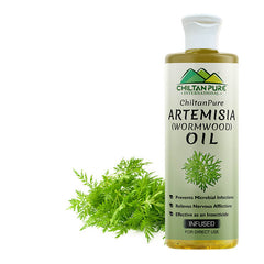Artemisia Infused oil – Wormwood Infused oil – Promotes Digestion, Relieves Nervous Afflictions, Acts as Emmenagogue & Cholagogue - Mamasjan