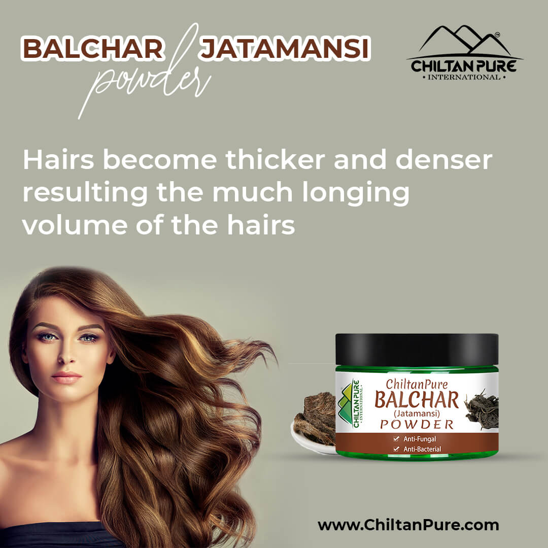 Balchar (Jatamansi) Powder – Stress Buster, Effective for Alopecia, Improves Learning & Memory Ability - Mamasjan