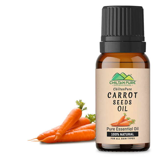 Carrot Seed Essential Oil – Natural Stimulant, Detoxifies Blood, Improves Complexion & Provides Relief from Stress - Mamasjan