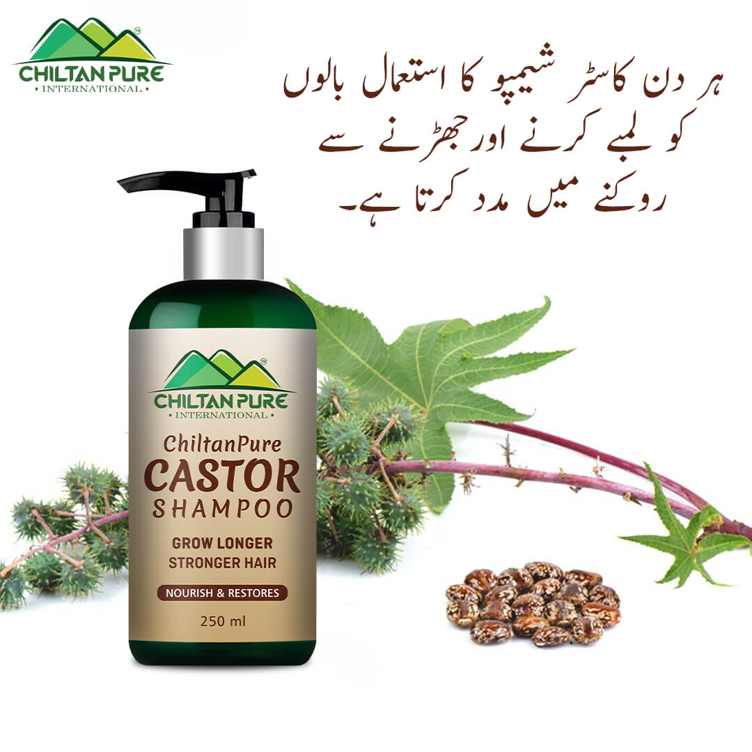 Castor Shampoo – Helps Moisturize & Regrow Strong Healthy Hair [ارنڈی] - Mamasjan