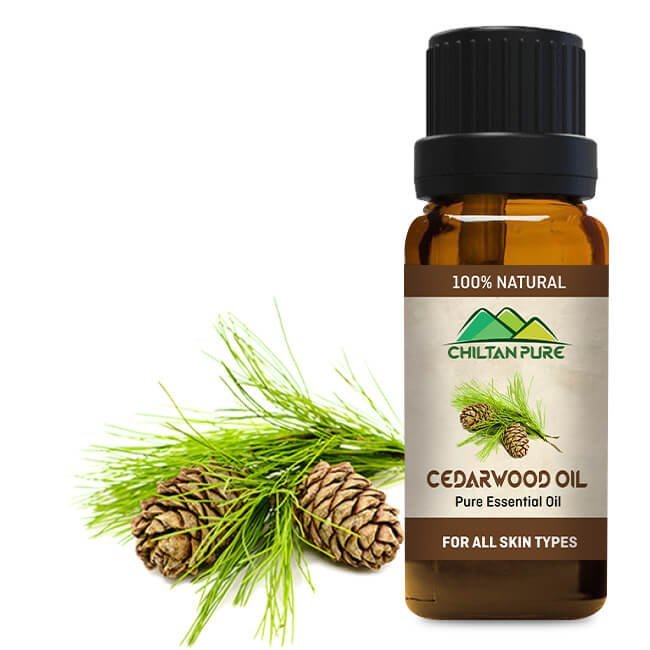 Cedarwood Essential Oil – Combats Hair Loss, Tightens Muscles, Natural Sedative & Antiseptic - Mamasjan