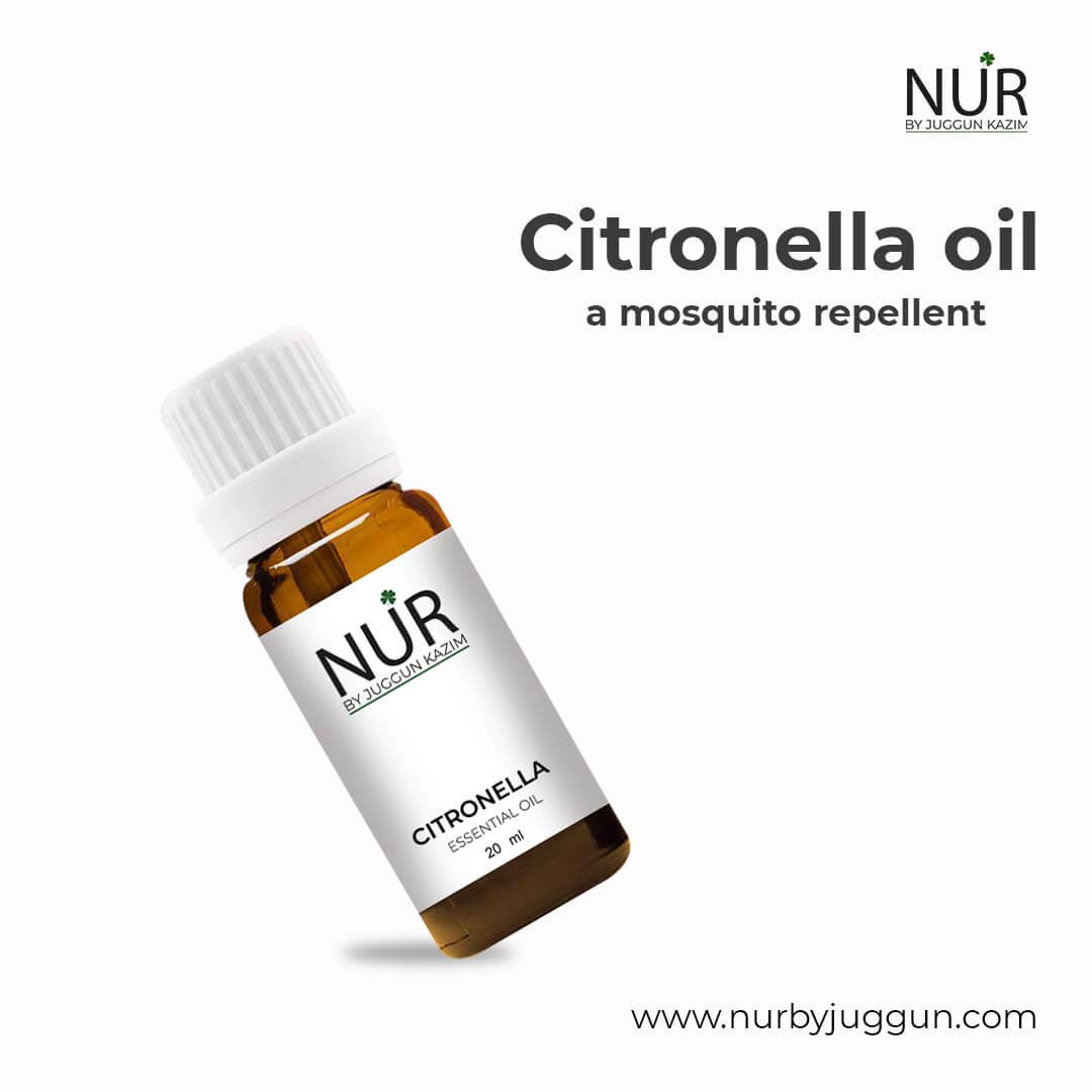 Citronella Essential Oil – Used as a mosquito repellent, to treat parasitic infections, promote wound healing, lift mood or fight fatigue - Mamasjan