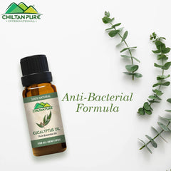 Eucalyptus Essential Oil – Anti-Bacterial Formula & Treats Acne - Mamasjan