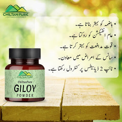 Giloy Powder – Improves Digestive Health, Strengthen Immune System, Good for Vision & Helps in the Management of Type II Diabetes - Mamasjan