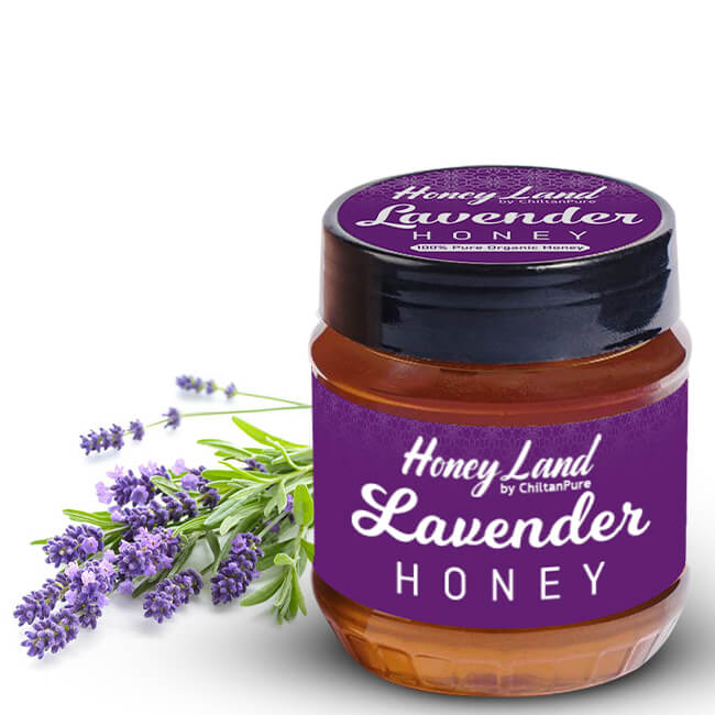 Lavender Infused Honey 450g [لیوینڈر] - Mamasjan
