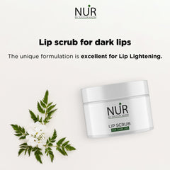 Lip Scrubs for Dark Lips – Helps Remove Dead Skin Layer, Exfoliates, Moisturizes & Lighten Up Lips - Mamasjan