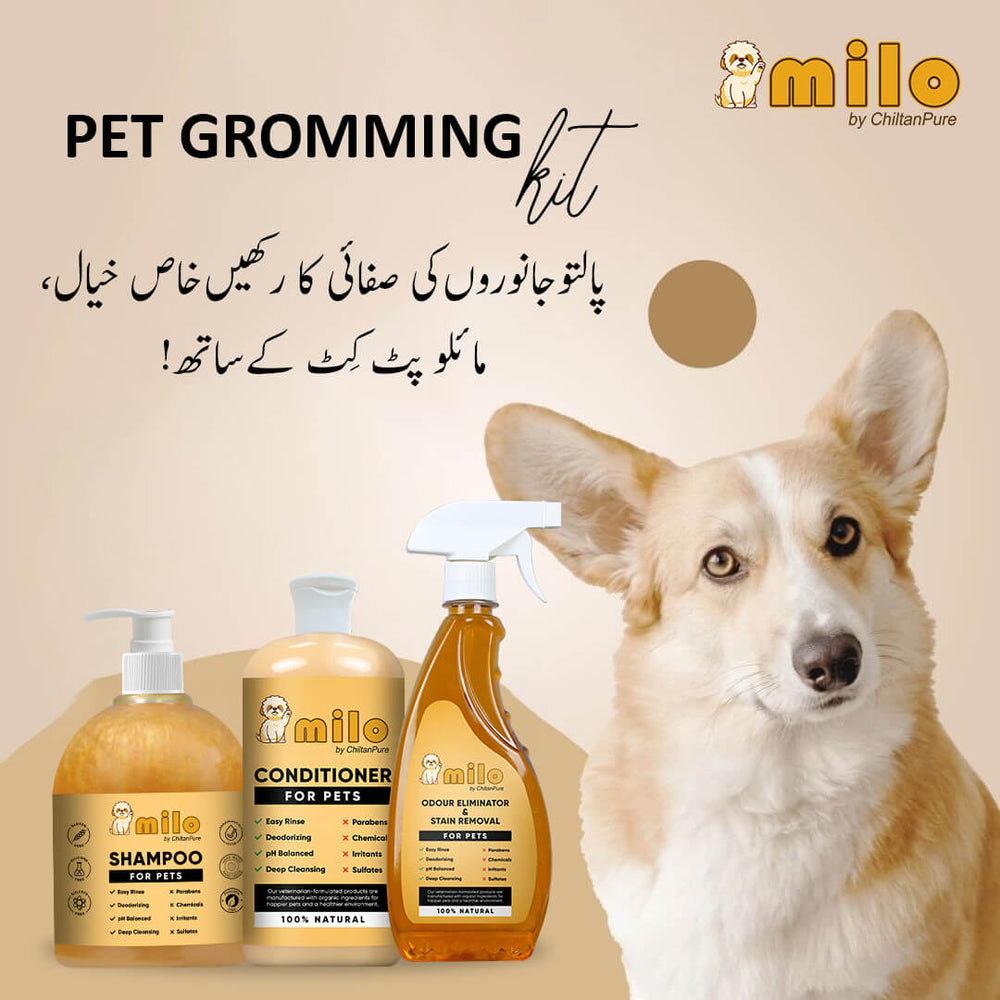 Milo Pet Care Kit – Pet Conditioner, Pet Shampoo, Pet Odour Eliminator & Stain Removal - Mamasjan