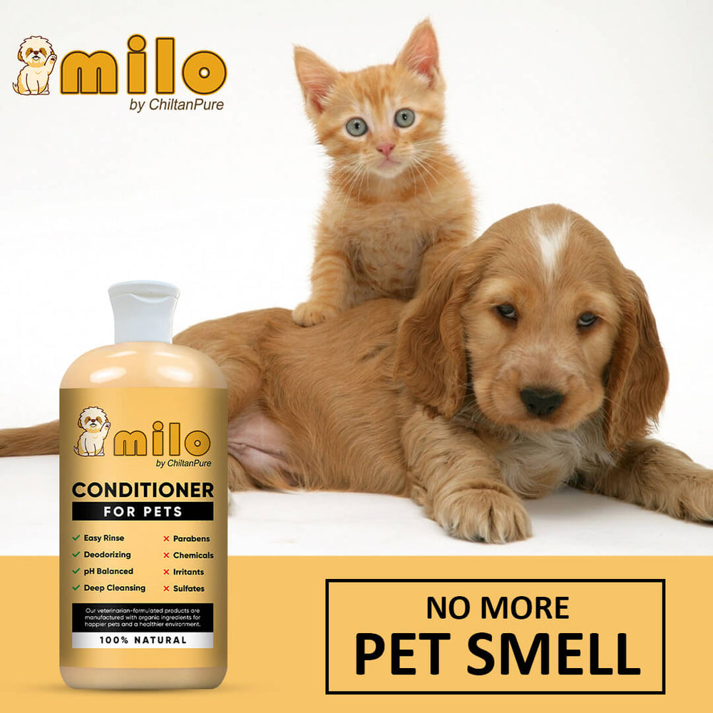 Milo Pet Conditioner – Nourishes Hair, Control Hair Fall, Prevent Itchiness, Gives Shiny Hair & Long – lasting Freshness 250ml - Mamasjan