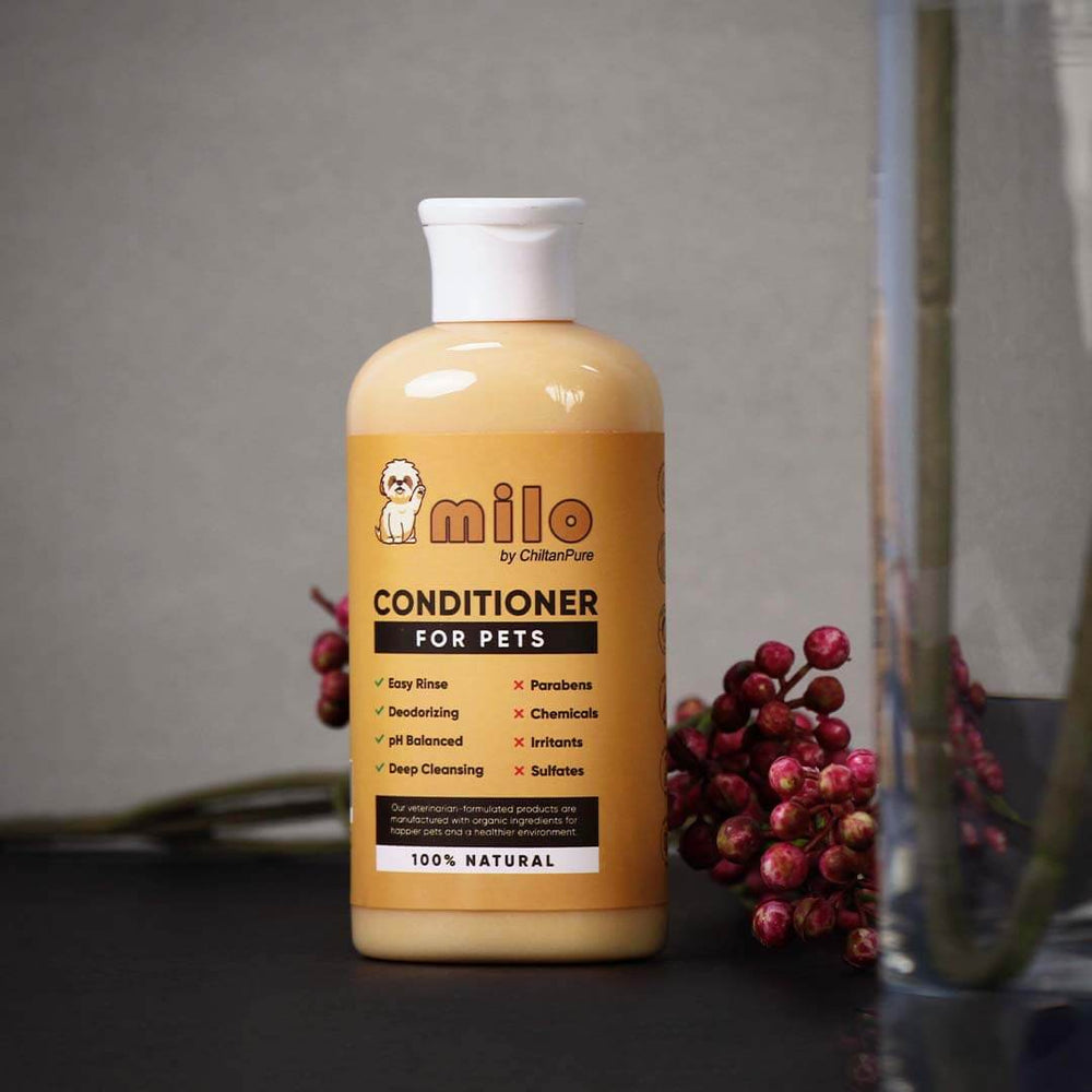 Milo Pet Conditioner – Nourishes Hair, Control Hair Fall, Prevent Itchiness, Gives Shiny Hair & Long – lasting Freshness 250ml - Mamasjan