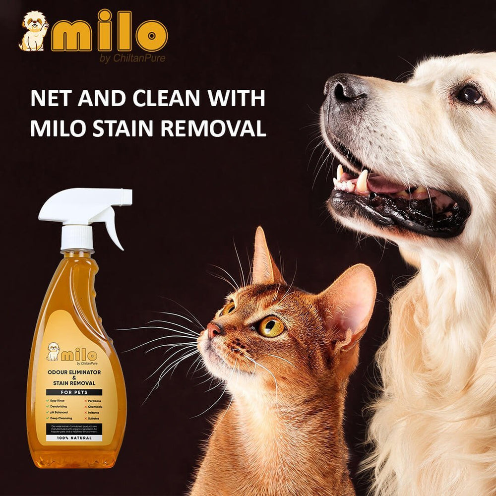 Milo Pet Odour Eliminator & Stain Removal – Natural Bio-Enzymatic Formula, Eliminate Pet’s Bad Odour & Remove Tough Stains 500ml - Mamasjan