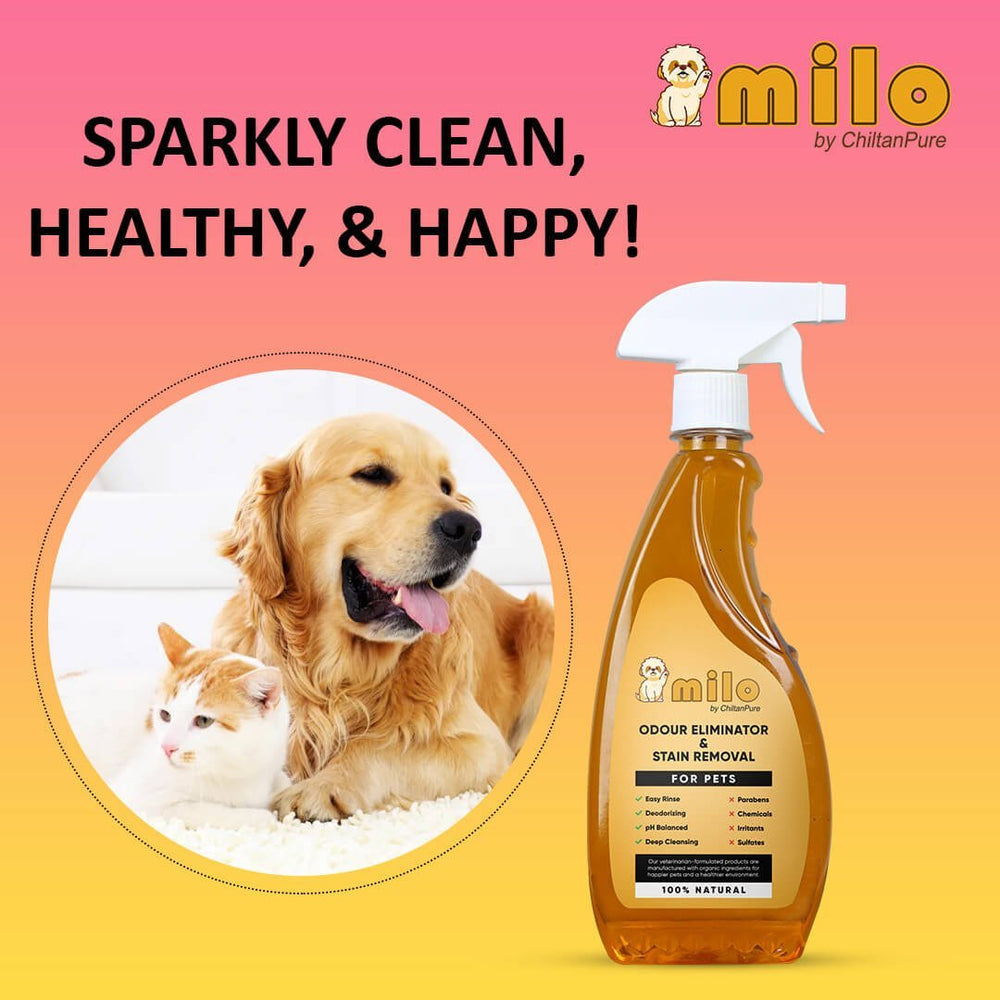 Milo Pet Odour Eliminator & Stain Removal – Natural Bio-Enzymatic Formula, Eliminate Pet’s Bad Odour & Remove Tough Stains 500ml - Mamasjan