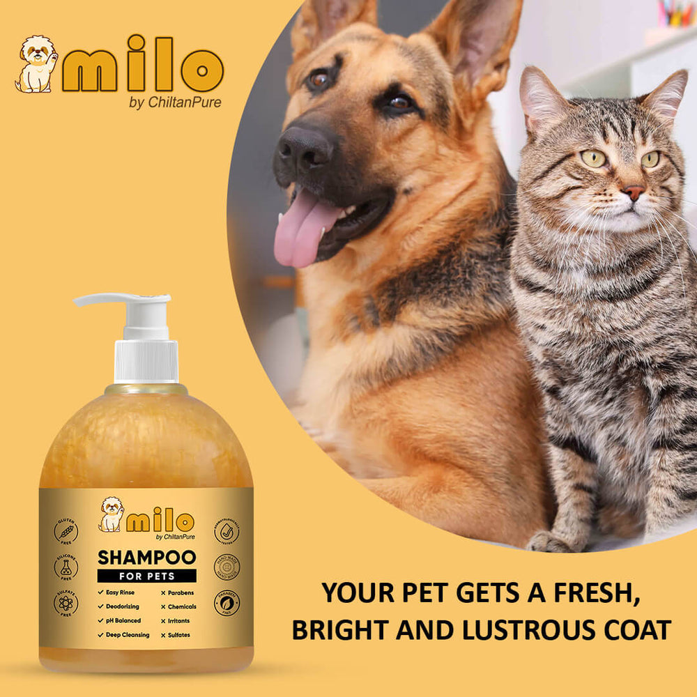 Milo Pet Shampoo – Anti-Dandruff, Gently Cleanse Hair, Avoid Shedding & Prevent Infections 500ml - Mamasjan