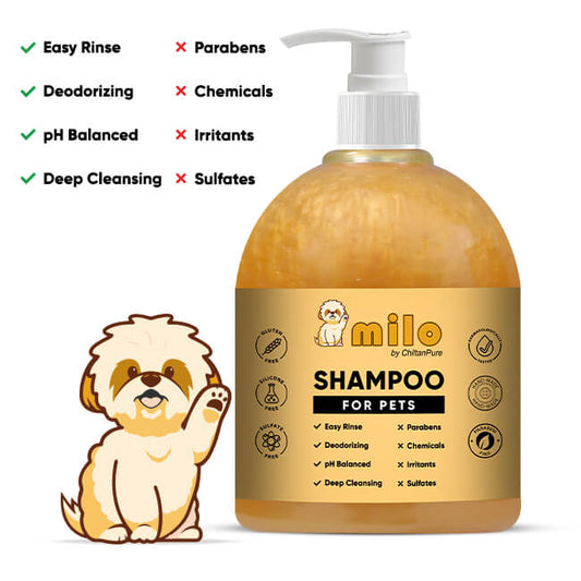 Milo Pet Shampoo – Anti-Dandruff, Gently Cleanse Hair, Avoid Shedding & Prevent Infections 500ml - Mamasjan