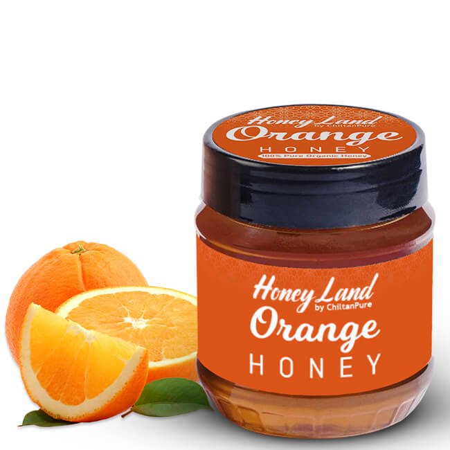 Orange Honey 🍊 [کینو] - Mamasjan