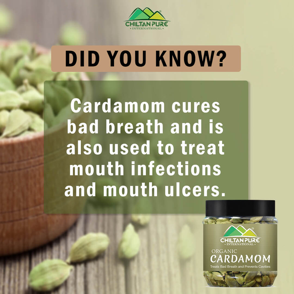 Organic Cardamom Seeds – Helps with digestive problem, lower blood sugar levels, treats bad breath – 100% pure organic - Mamasjan