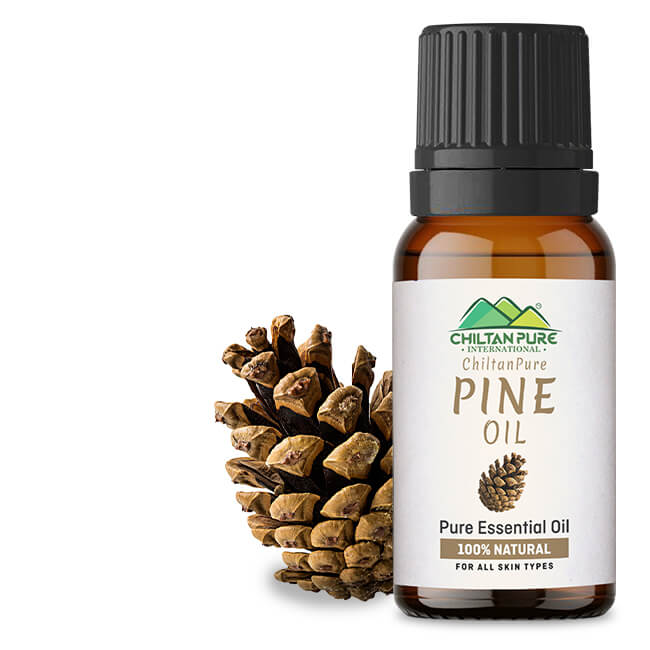 Pine Essential Oil - Memory Booster, Powerful Antioxidant, Enhances Cognition, Treats Eczema &amp; Rosacea - Mamasjan