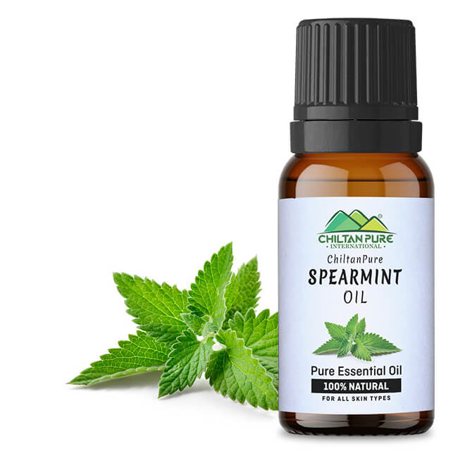 Spearmint Essential Oil – Disinfectant, Stimulates Brain Function, Relieves Spasms, Cures Cold & Congestion - Mamasjan