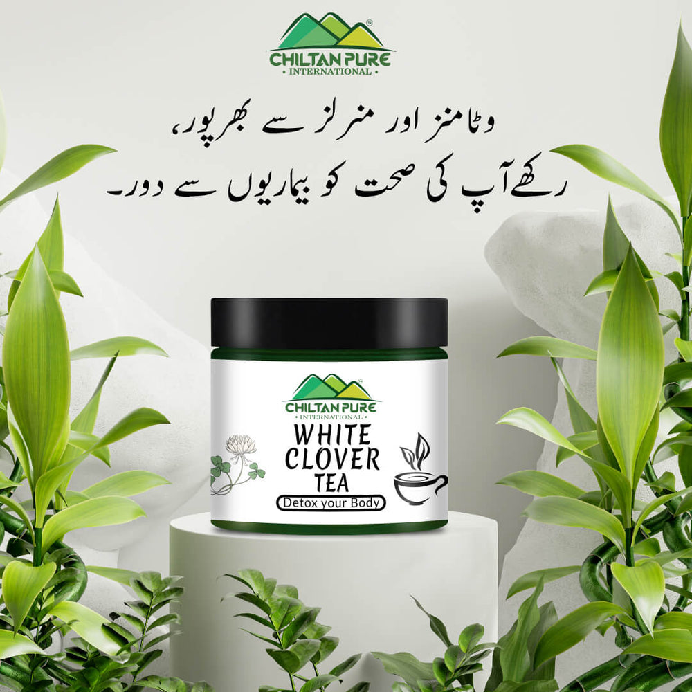 White Clover Tea - Heal Wounds, Cure Minor Eyes Infection, Treat Fever, Aches &amp; Dizziness - Mamasjan