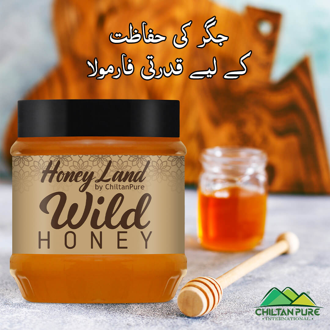 Wild Mountainous Honey - Pure &amp; Delicious (جنگلی شہد) - Mamasjan